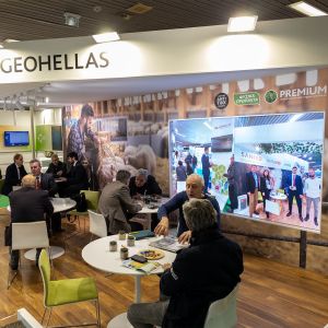 &Mu;&Kappa;&Mu; &Delta;ό&mu;&eta;&sigma;&eta; Zootechnia &Gamma;&epsilon;&omega;&epsilon;&lambda;&lambda;&alpha;&sigmaf; &Kappa;&tau;&eta;&nu;&omicron;&tau;&rho;&omicron;&phi;&iota;&kappa;ό&sigmaf; &Alpha;&tau;&tau;&alpha;&pi;&omicron;&upsilon;&lambda;&gamma;ί&tau;&eta;&sigmaf; 2025 6